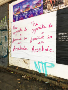 'The Opposite to a Feminist' Sarah Maple